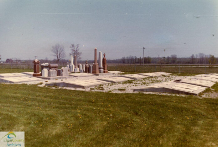 The Ultimate Guide to Otter Names: Find the Perfect Moniker for Your Furry Friend