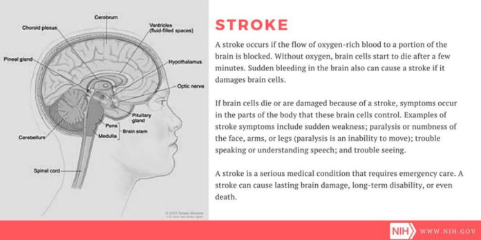 understanding-numbness-in-tongue-causes-and-remedies.jpg Understanding Numbness in Tongue: Causes and Remedies