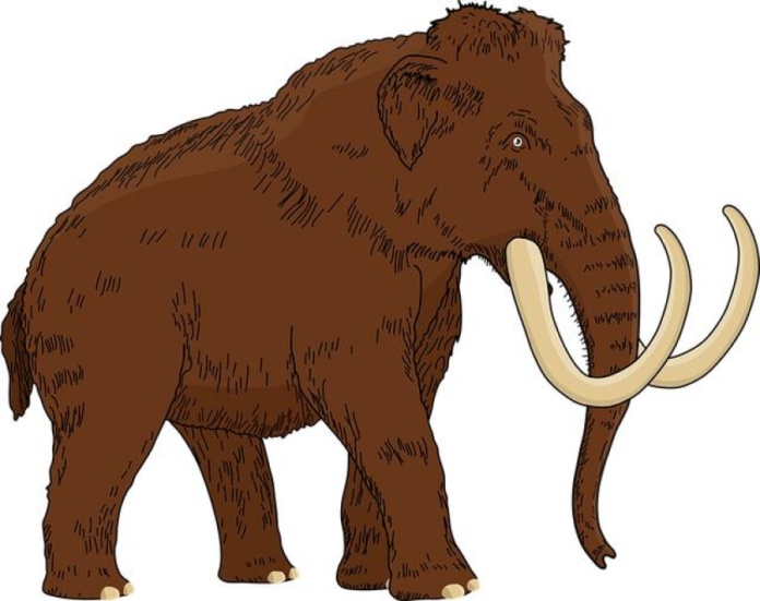 Woolly Mammoth Rediscovered Alive in Siberia