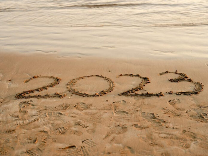 2023 Shark Attack: What You Need to Know