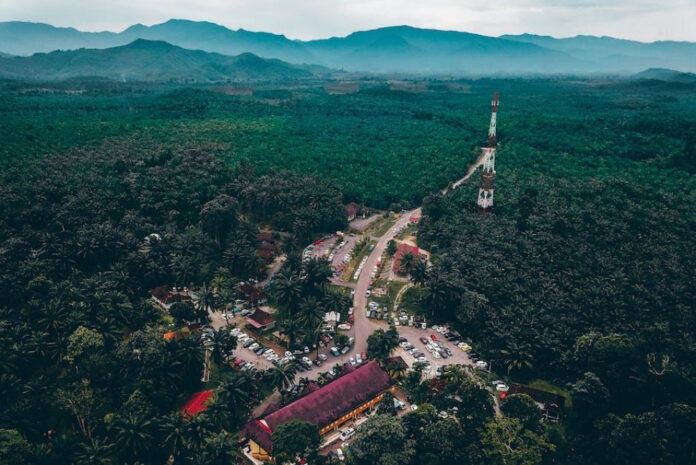 Meet Dr. Reddy: Endocrinologist Specializing in Hormonal Health