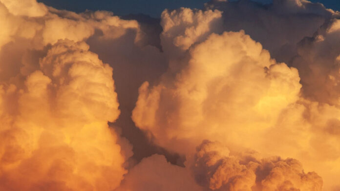 Uncovering the Charismatic Daniel Lugo: A Rising Star’s Journey