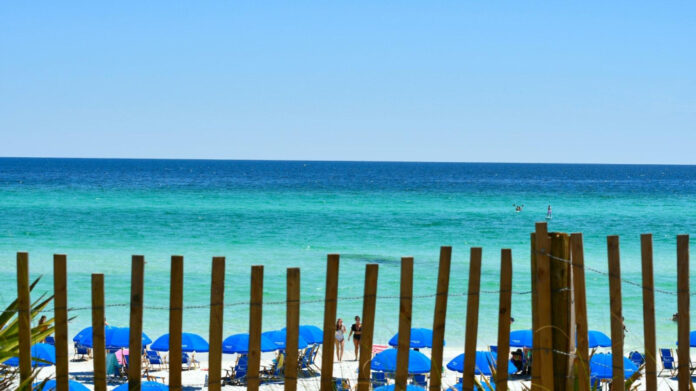understanding-the-complexities-of-florida-blue-payment-systems.jpg Understanding the complexities of Florida Blue payment systems