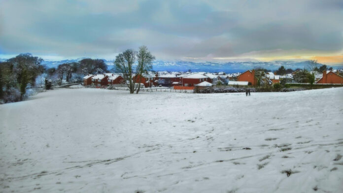 Jaylen Burns: The Ultimate Rebel at Jackson State University