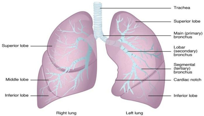 Understanding Acute Respiratory Failure ICD 10 Codes