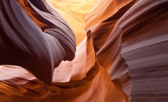 Discover Relief at Arizona Asthma & Allergy Institute