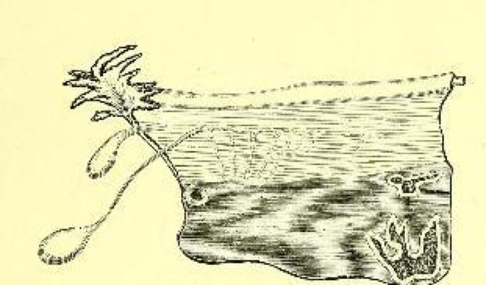 empire-obstetrics-gynecology-innovations-and-advancements.jpg Empire Obstetrics/Gynecology: Innovations and Advancements