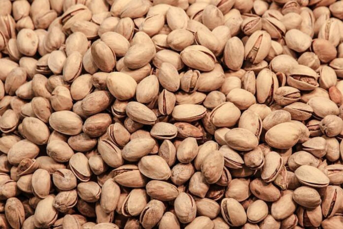 discovering-pistachio-perfection-how-long-do-pistachios-last.jpg Discovering Pistachio Perfection: How Long Do Pistachios Last