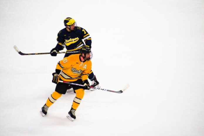 The Shocking Reality of Hockey Murder