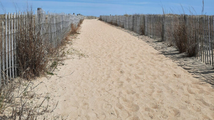 Unveiling Yvonne De Carlo’s Impressive Net Worth - Animascorp