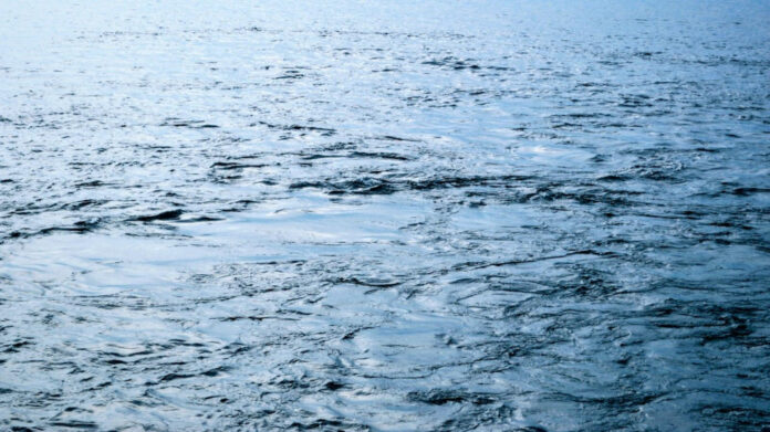 Unveiling the Mystery of Colleen Wolfe’s Height: How Tall is She