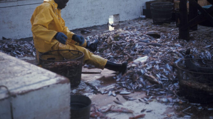 the-height-of-mariah-the-scientist-what-fans-really-want-to-know.jpg The Height of Mariah the Scientist: What Fans Really Want to Know