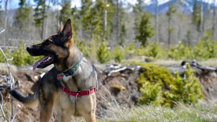 Exploring Ryan Haddon’s Family: The Truth About Her Children