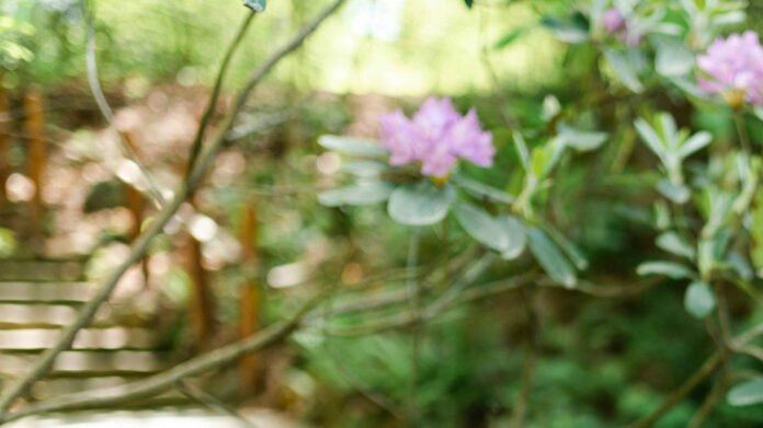 Winston Duke Height, Weight, and Body Measurements Revealed