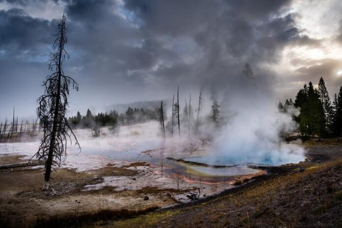 Exciting News: Yellowstone Season 5 Release Date Revealed!