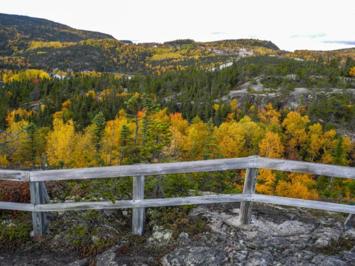 Discovering the True Height of Carti: Unveiling the Rapper’s Stat