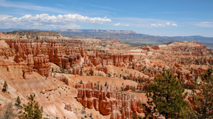 Uncovering Bryce Papenbrook’s Impressive Net Worth