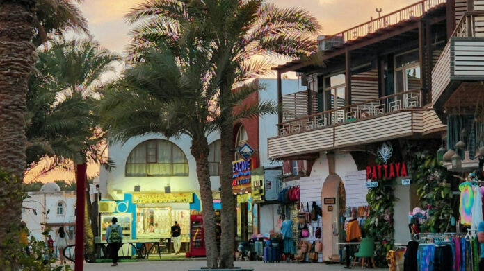 Catherine Dutko Gilyard: A Brief Profile