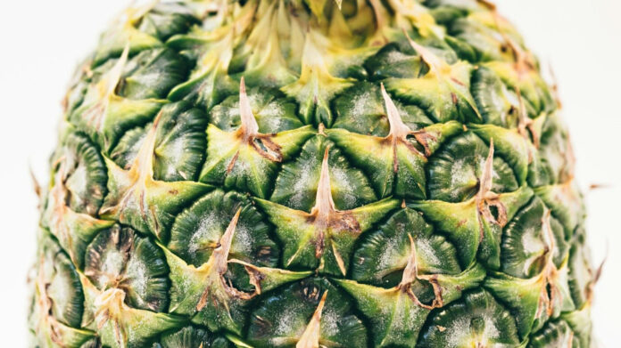 The Love Story of Scott Bradlee’s Wife