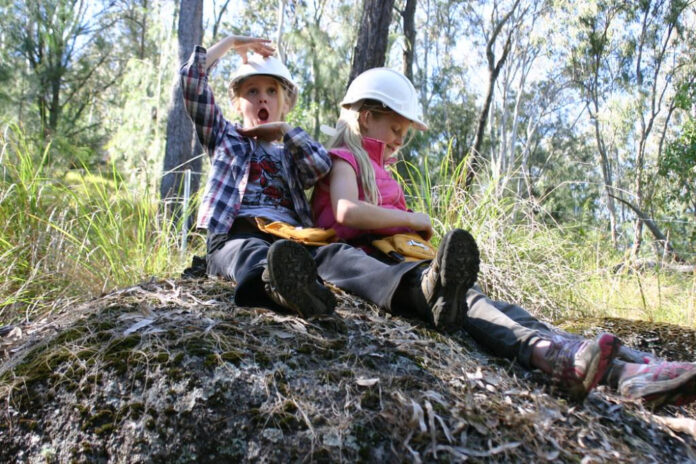 Tracy Finnegan Kari Lake: An Inside Look at Their Careers