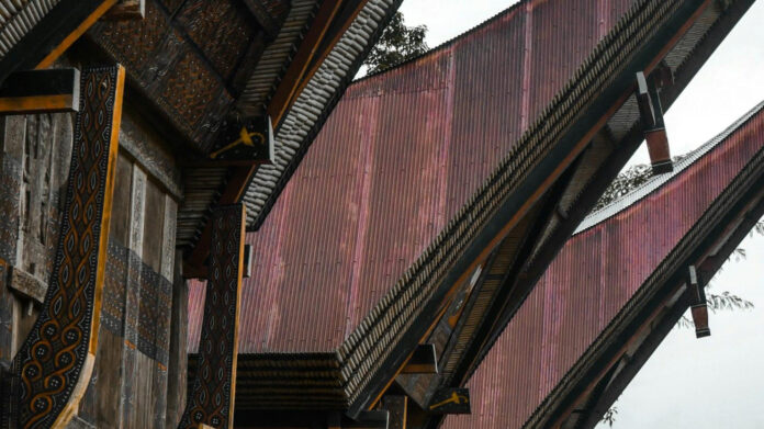 Tana’s Height: Discovering the Emotional Truth