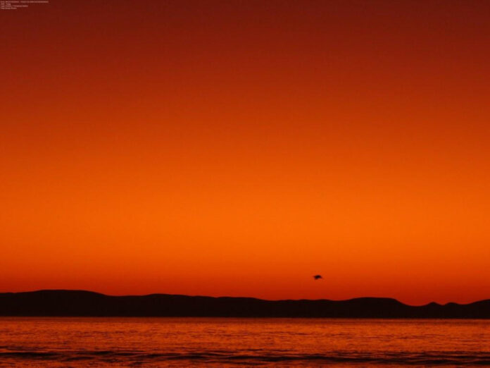 The Famous Debo: Exploring the Age of a Renowned Figure