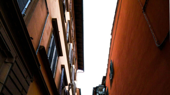 Exploring the Career of Alley Baggett: From Model to Entrepreneur