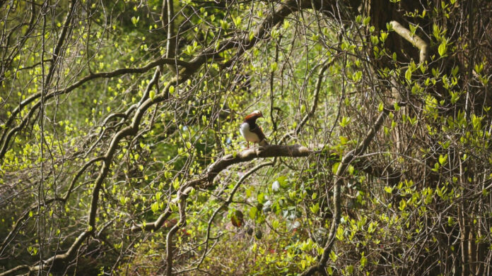 The Life of Isabella Oakerson: A Biographical Overview