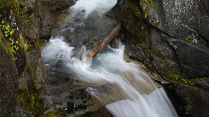 The Fascinating Net Worth of Christine Baumgartner