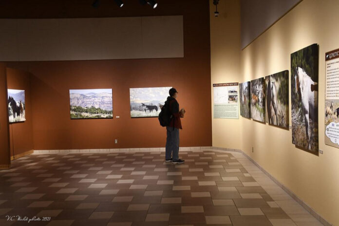 Unveiling TJ Holmes’ Ethnicity: Discover the Broadcaster’s Background