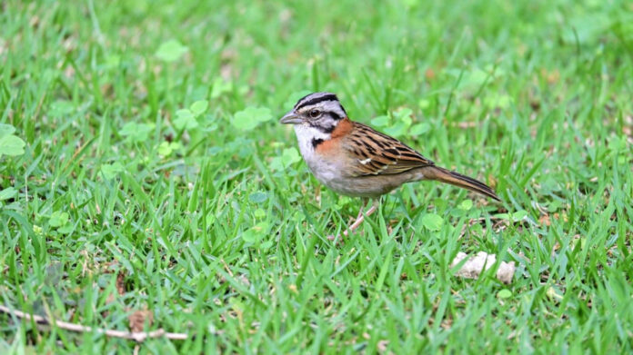 Doug Hehner and Jamie Otis: A Look at Their Love Story