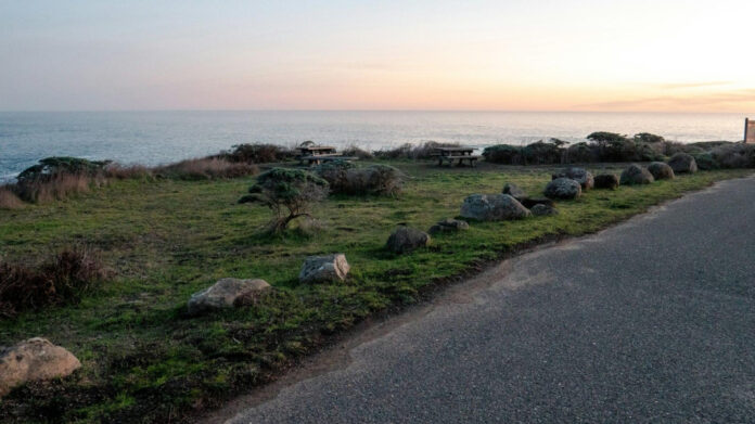 The Fascinating Life of Nick Florescu: A Brief Biography