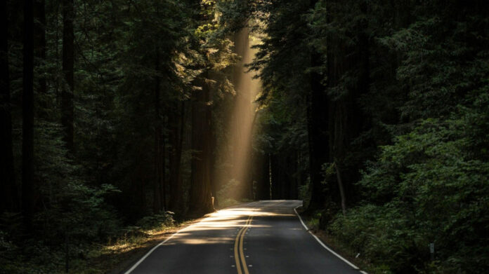 The Remarkable Journey of Rochel Beckman