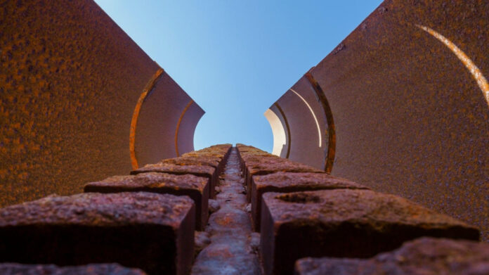 Emily Riedel Net Worth 2022: A Biographical Overview