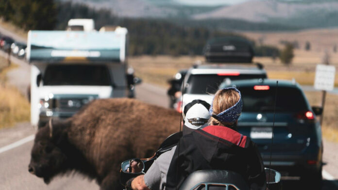 exciting-updates-on-new-yellowstone-season-4.jpg Exciting Updates on New Yellowstone Season 4
