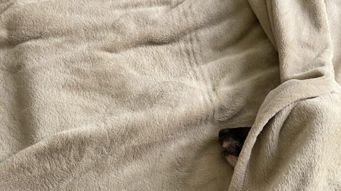 Exploring the Personal Life of Jack Flaherty: Meet His Wife