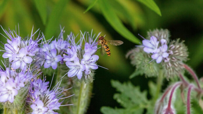Discover Jake Lacy’s Net Worth and Career Success