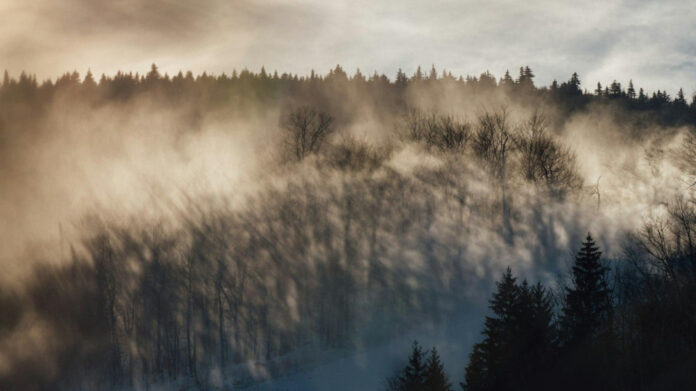 Henry Hunter Hall: Exploring the Actor’s Identity as a Gay Man