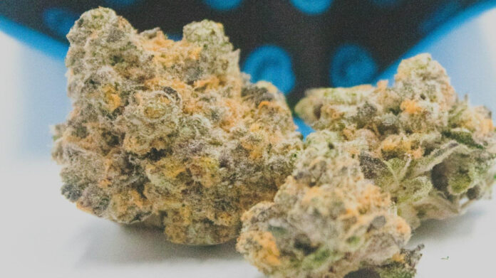 Who is Payton Leutner? The Story Behind the Name