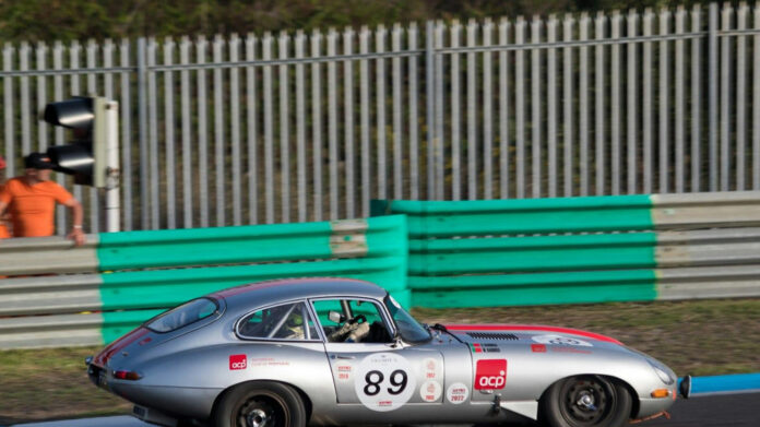 Meet Alfredo Ballí Treviño: A Mexican Artist’s Journey