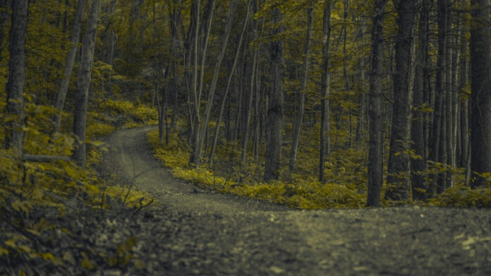 Trailblazer Tracy Edwards: Breaking Barriers in Sailing