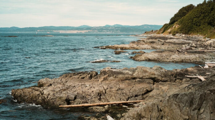 Discovering Allthatsinteresting: A Casual Guide