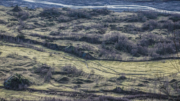 Did Helen Keller Pilot a Plane? The Truth Revealed