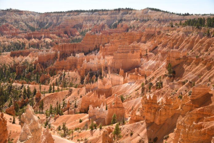 Bryce Laspisa: The Mysterious Disappearance