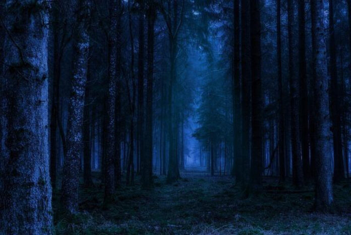 Spooky Photo Gallery: 15 Creepy Images That Will Give You Chills