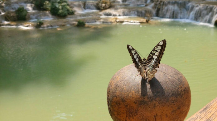 unraveling-the-story-of-tad-cummins-what-you-need-to-know.jpg Unraveling the Story of Tad Cummins: What You Need to Know