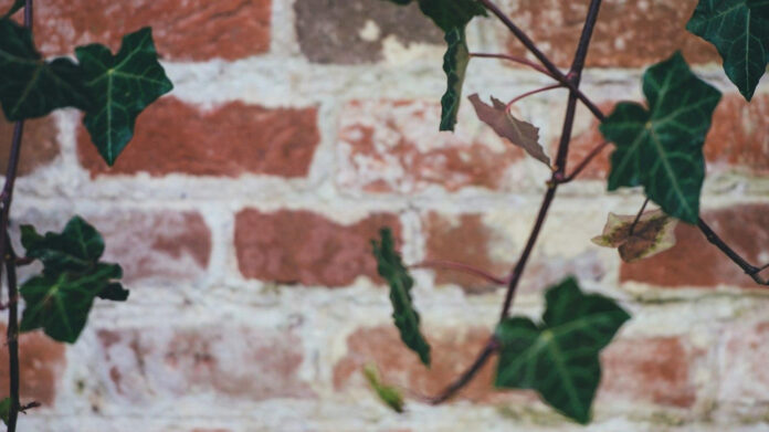 FGB Brick Age: Exploring the Legacy of a Trailblazing Artist