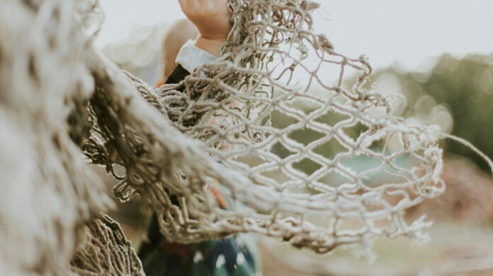 Discover the Net Worth of CeCe Moore: Biography