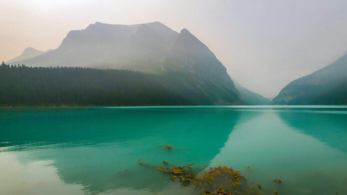 The Mysterious Disappearance of Deorr Kunz