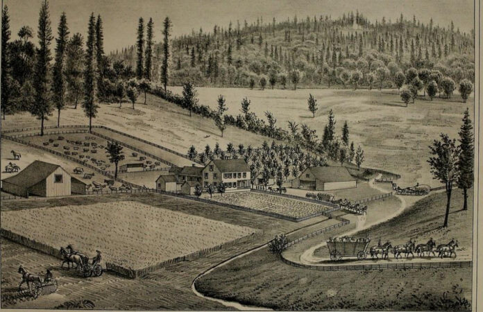 Unraveling the Mystery of the Yuba County Five